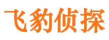 偏关市侦探公司